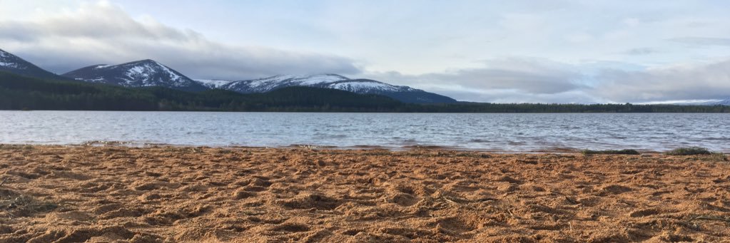 Scotscan's profile banner image