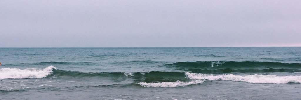 ellasigns's profile banner image