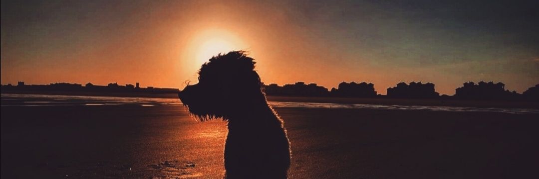 JAbreuC's profile banner image
