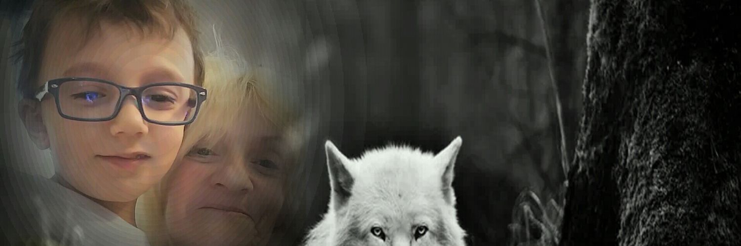 Tree050510's profile banner image