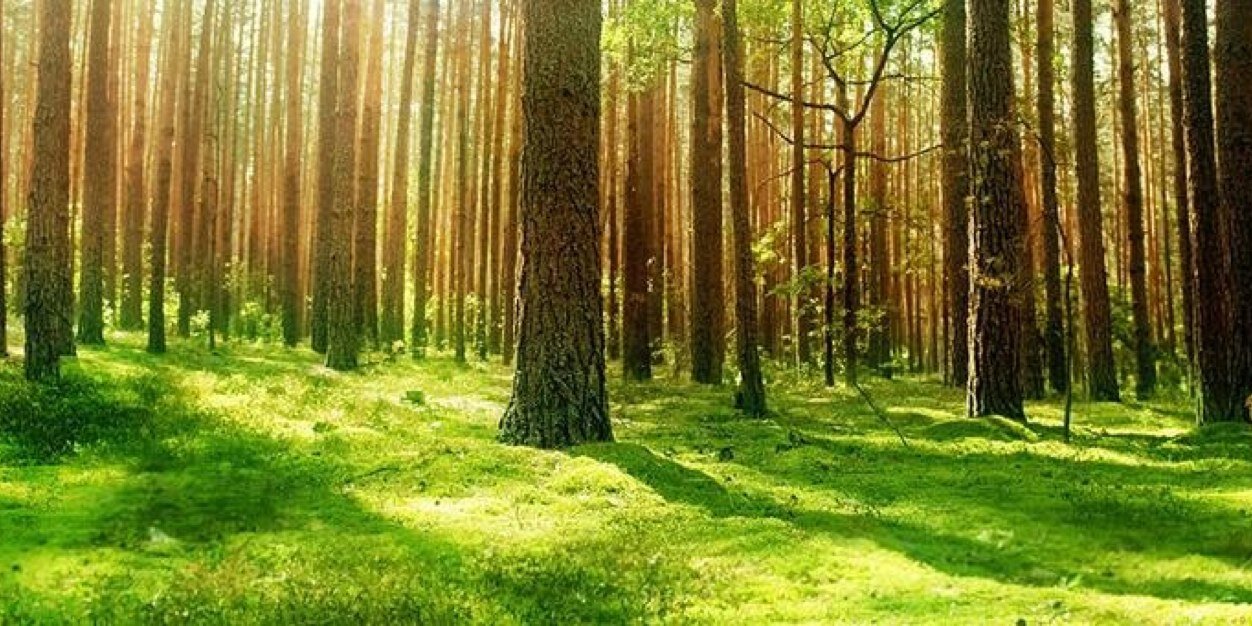 jooooonjon's profile banner image