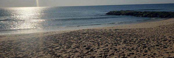 HendoSlice Profile Banner