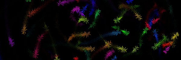 jgraving Profile Banner