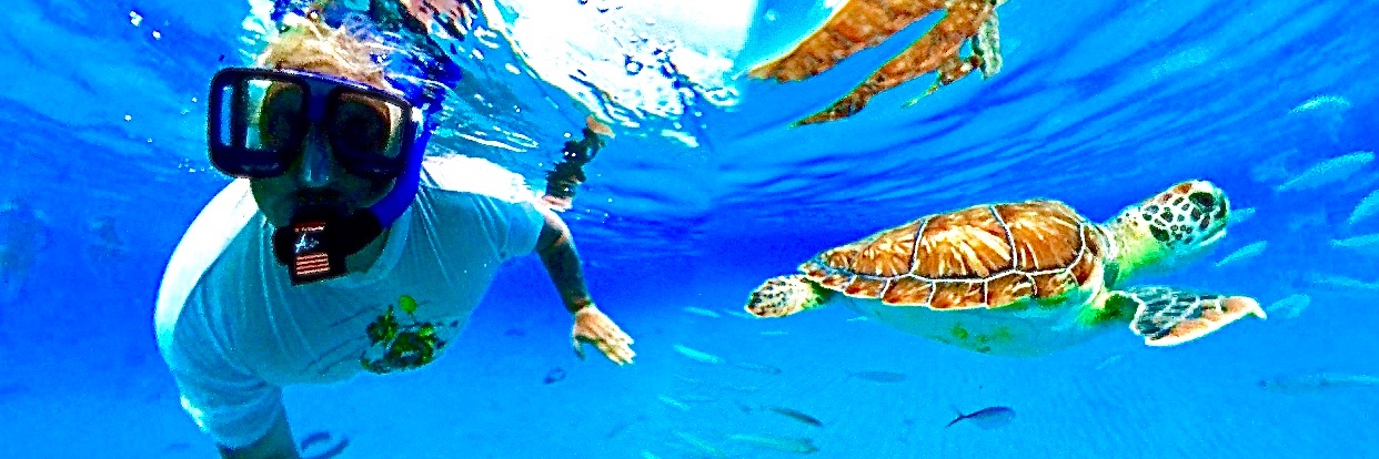 René de Kovel banner