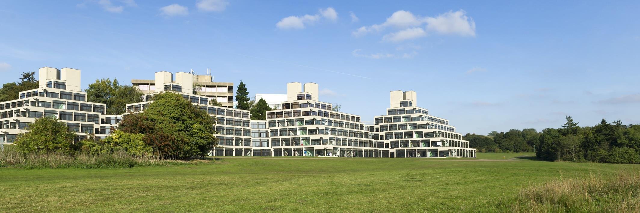 School of Education banner