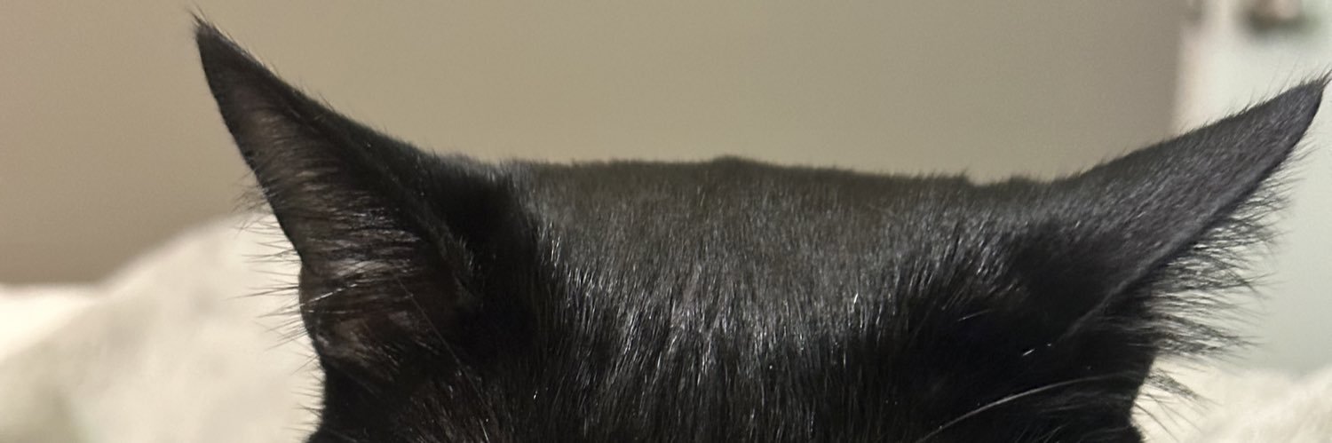 karenkampovskyy's profile banner image