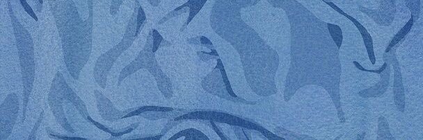 n. banner