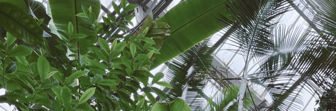 becbyers's profile banner image