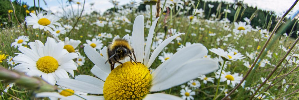 West of England LNP banner