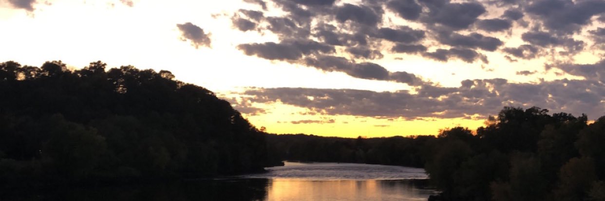 calimcgauley's profile banner image