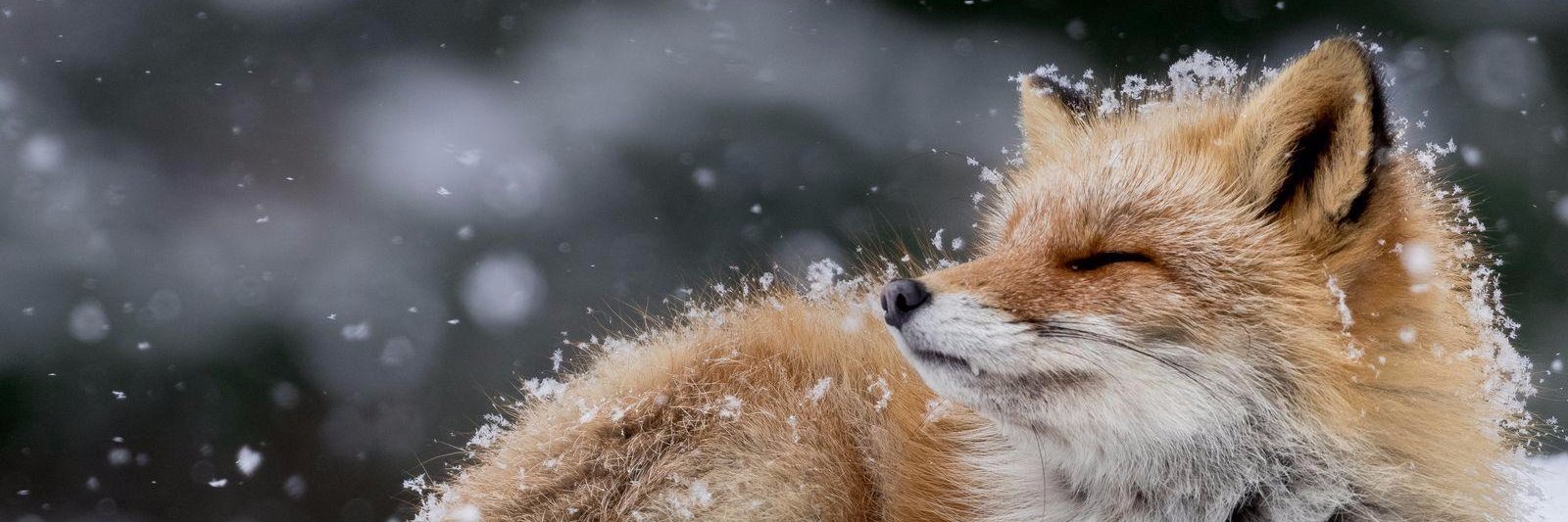 DelianaFreitas's profile banner image