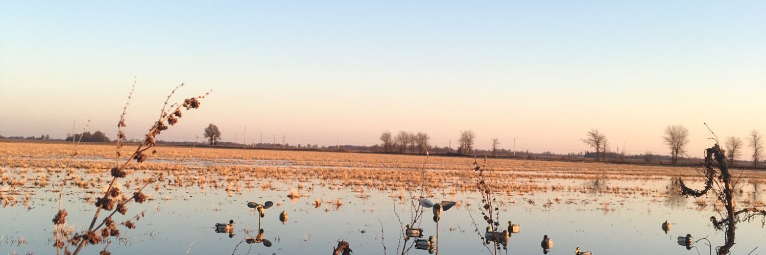 ChrisCochranc's profile banner image