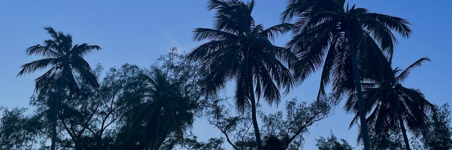 fiorellaharias's profile banner image