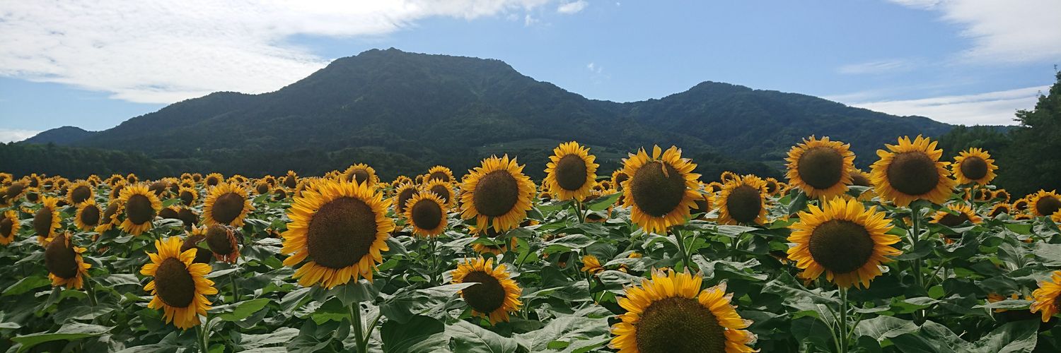 ausys123's profile banner image
