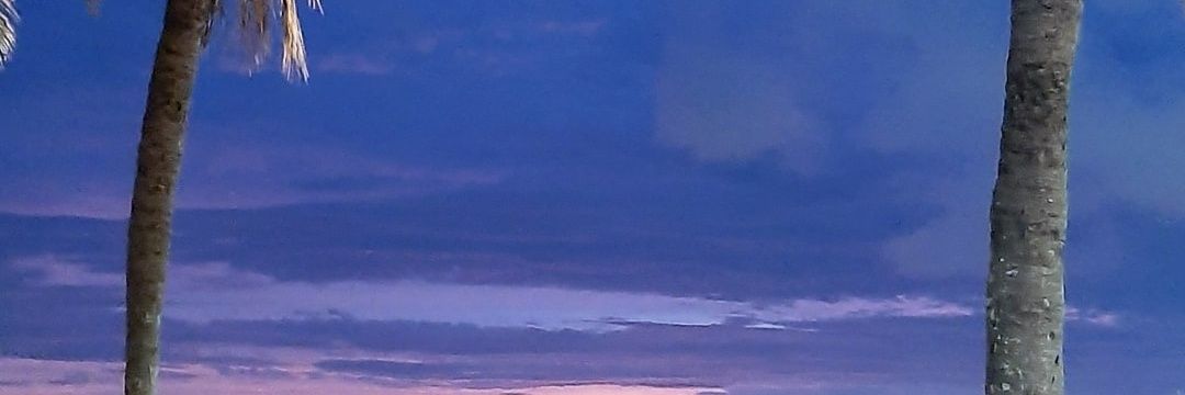 Gleysonayres's profile banner image