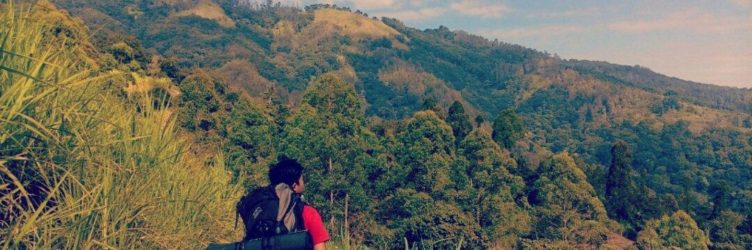 Danu_WP's profile banner image