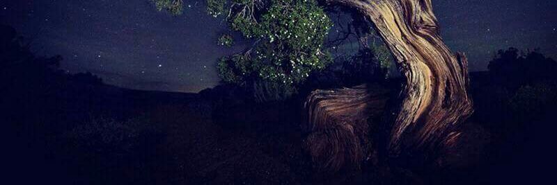 FckngPrncss's profile banner image
