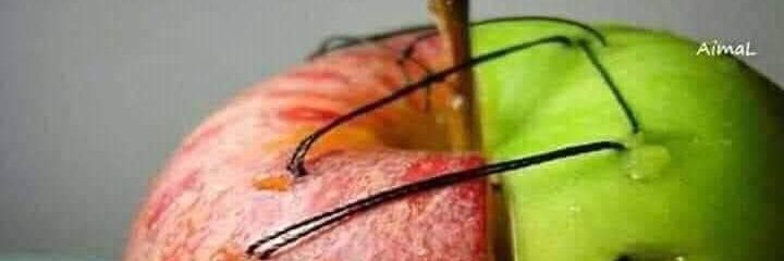 lloossii1's profile banner image