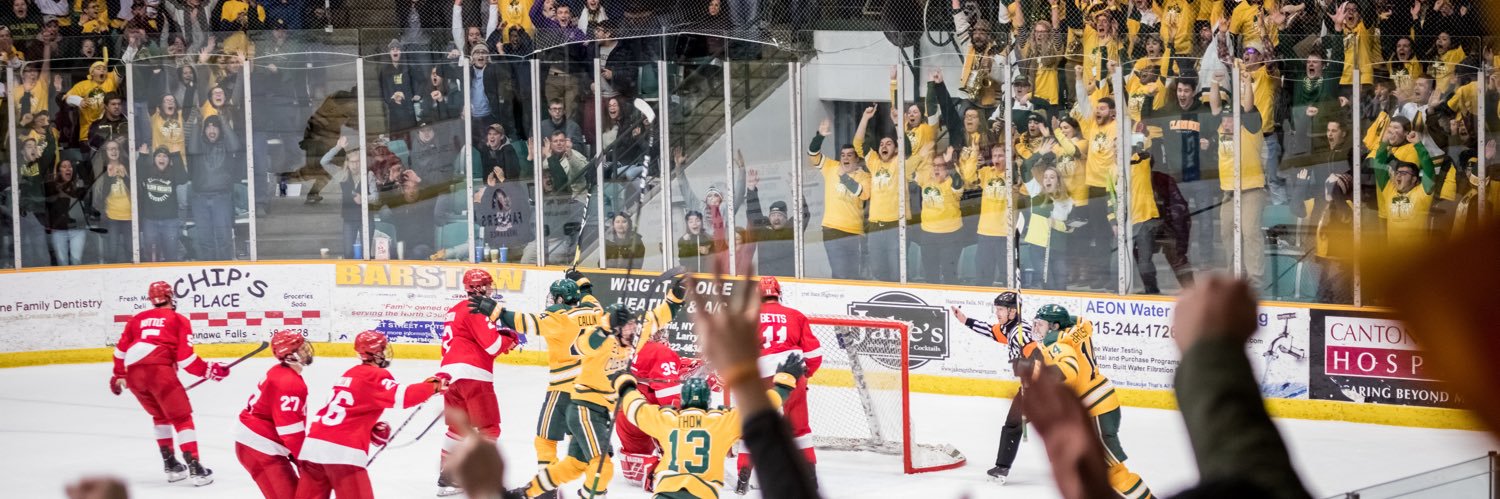 Clarkson Men’s Hockey's banner