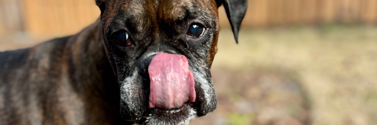 Karyn Resists 🏳️‍🌈 🇺🇸 🇺🇦 banner