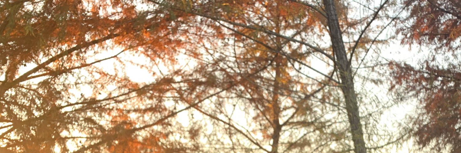 kaylakoen's profile banner image
