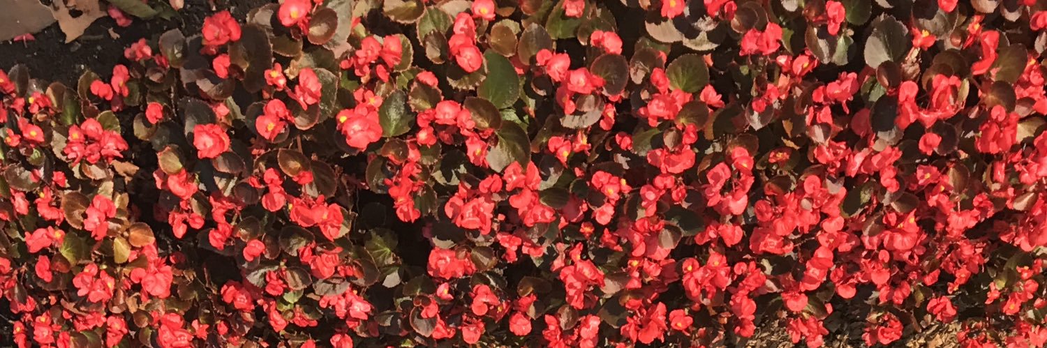 Jason_Tester's profile banner image