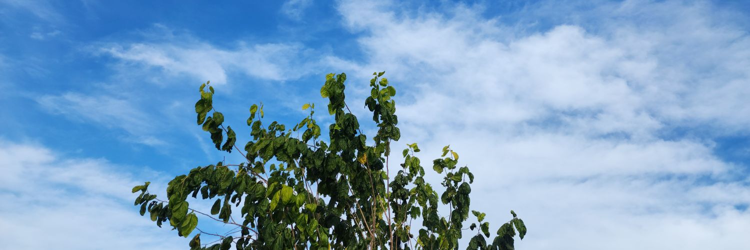 NoNameManLR's profile banner image