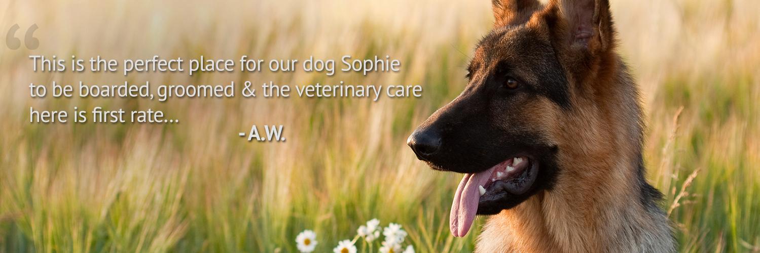 ppcvet's profile banner image