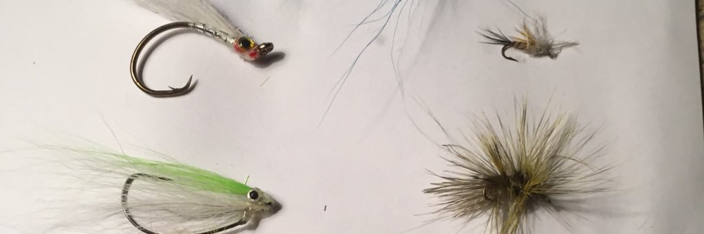 WPerkins51's profile banner image