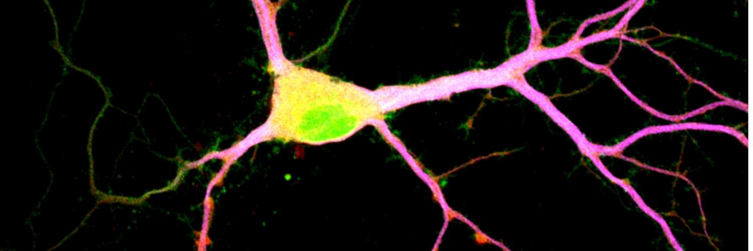 InstitutoBNI's profile banner image