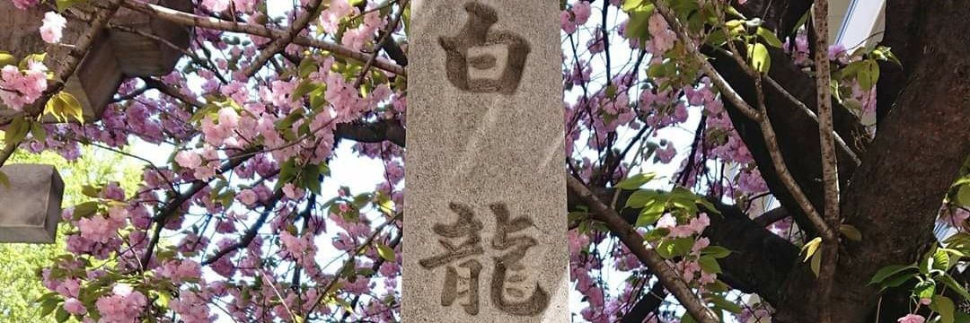 19785Sei's profile banner image