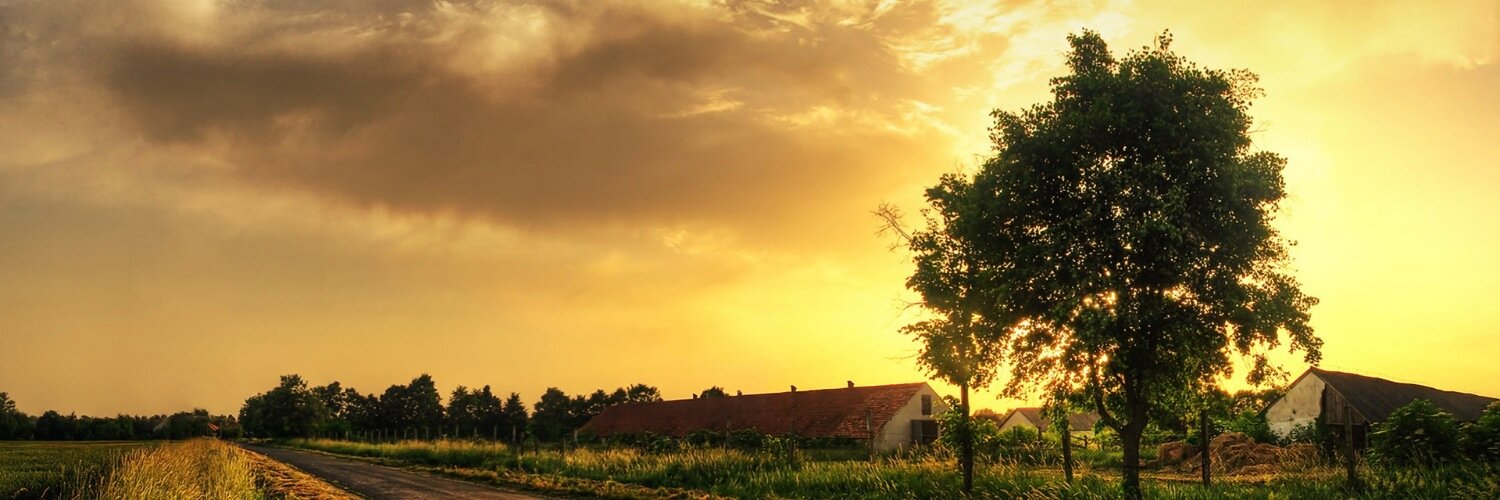 mitchheisler's profile banner image