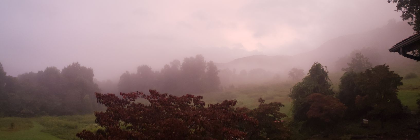 WycoffJohn's profile banner image