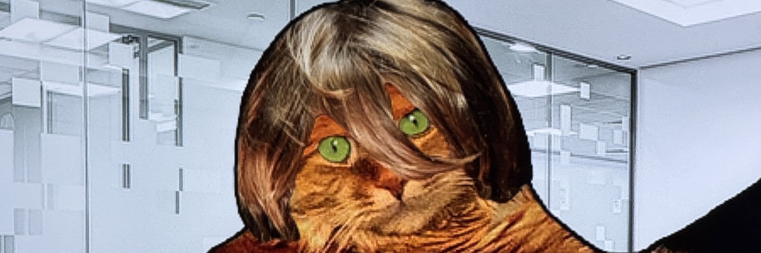 tedleegee's profile banner image