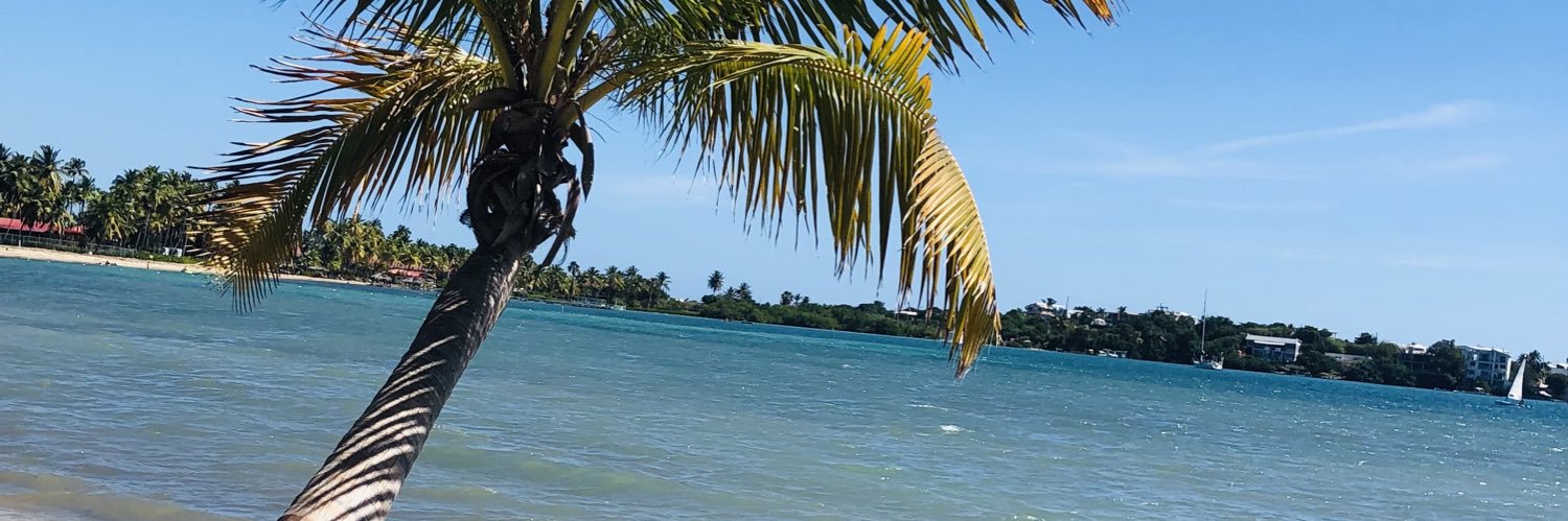 omyrvn's profile banner image