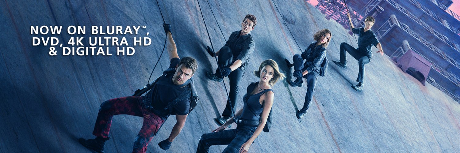 The Divergent Series banner