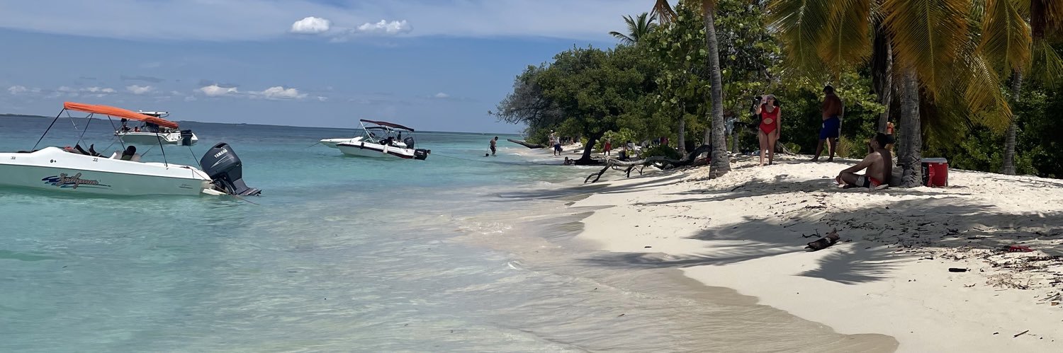 Romu From Hallownest 👾 banner