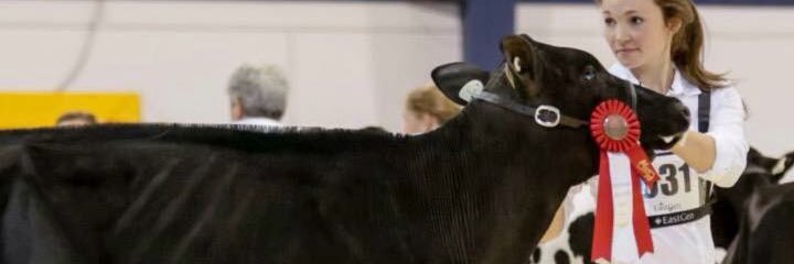 Tobytooes's profile banner image