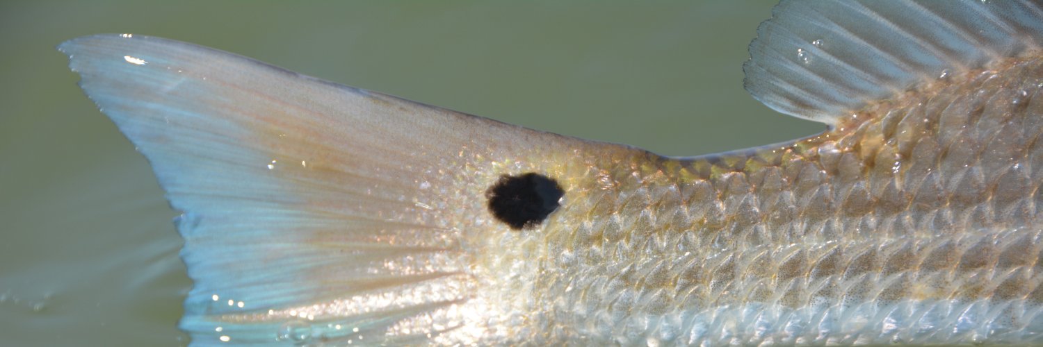 Sportfish Center banner