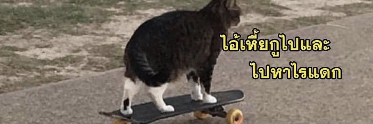 PP banner