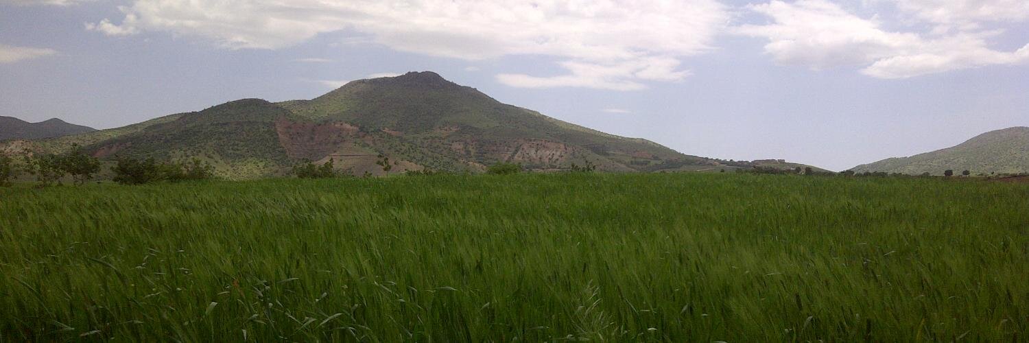 MahmutBarakat's profile banner image