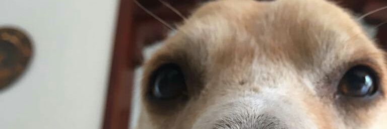 lopezpra06's profile banner image