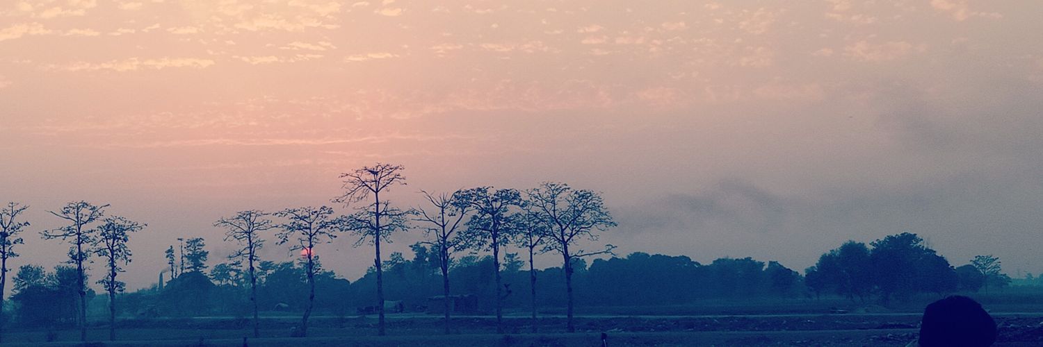pendu_scientist's profile banner image