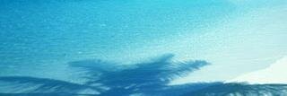 luisglz75's profile banner image