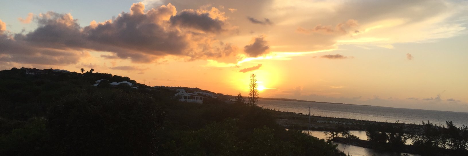 TMahoney29's profile banner image