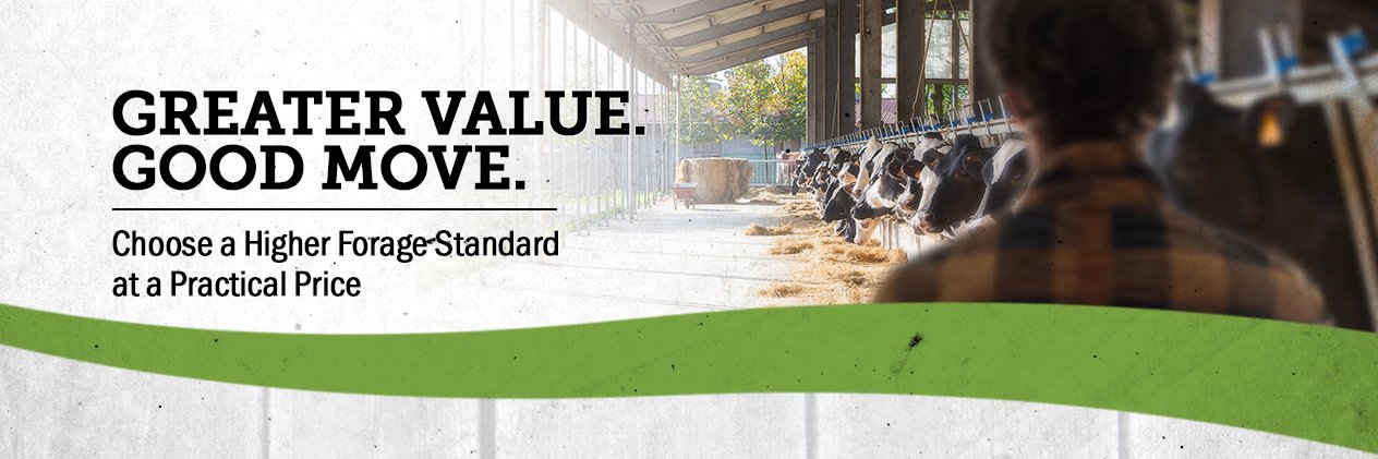 ForageFirst's profile banner image