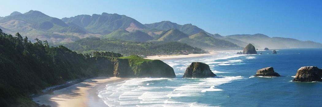 Walters Foundation banner