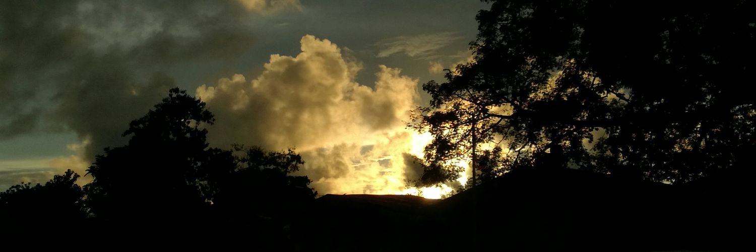 Wensecillo's profile banner image