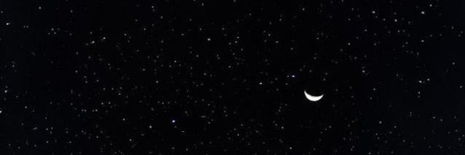 dalvapetrovaa's profile banner image