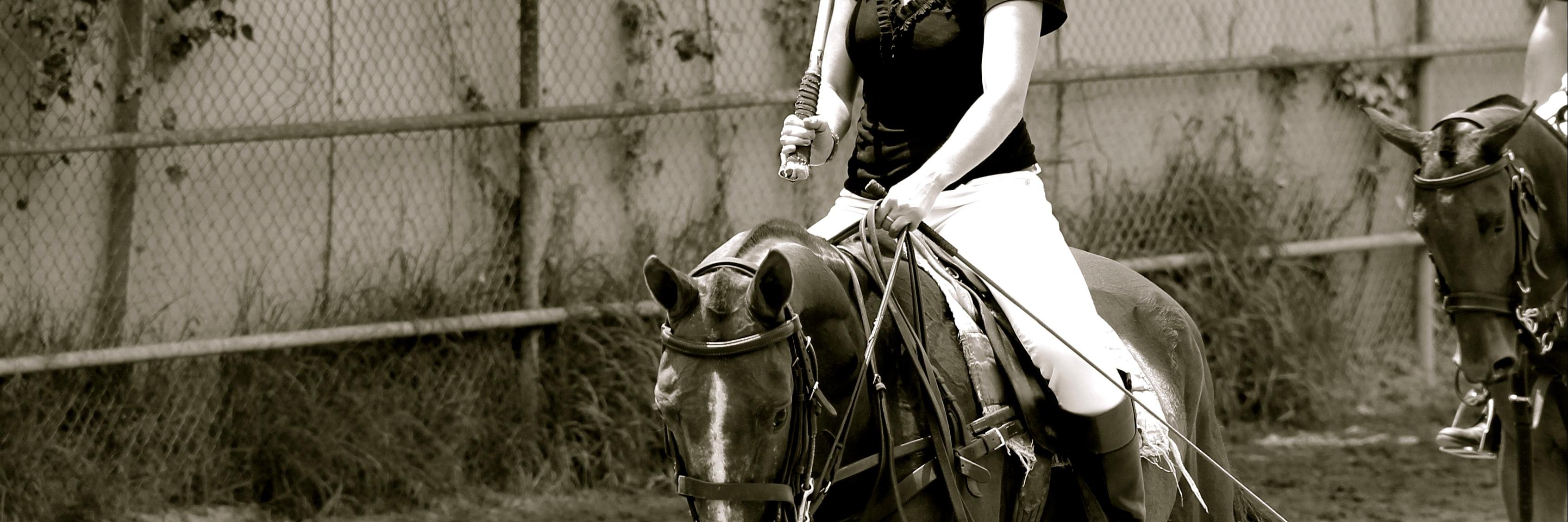 PoloSchoolMex's profile banner image